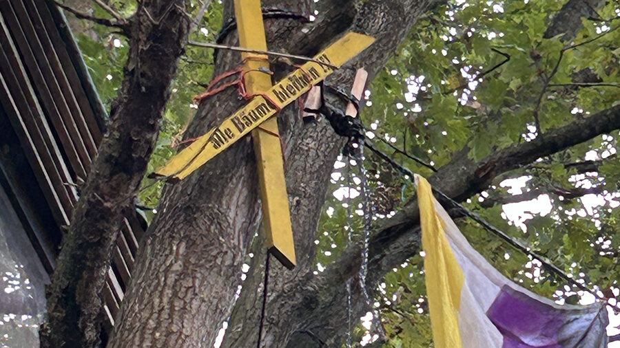 Symbole des Protests in einem Baum: Kreuz mit Spruch "Alle Bäume bleiben"